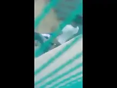 Seqsebis yureba ფარული კამერები, გაჟიმვა, patio