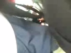 Ukrainelebis seqsi კიდევ ერთი ავტობუსი კეხი