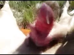 Sexy პორნო საიტი anal გარეთ