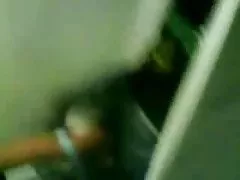 Bebrebis seqsi hey! ჩემი მხრივ!