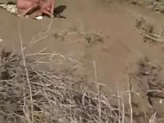 Ra aris anali nude beach - თითებით ერთად watcher
