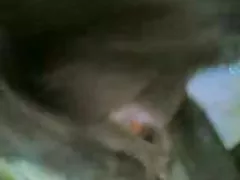 არაბი www mayvideo გოგონა, შავი