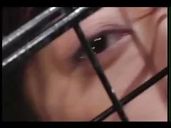 მიბმული rusuli porno kino და ფუნქციონირებს გალიაში აზიაში