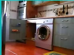 ფარული sexsi rusuli კამერა